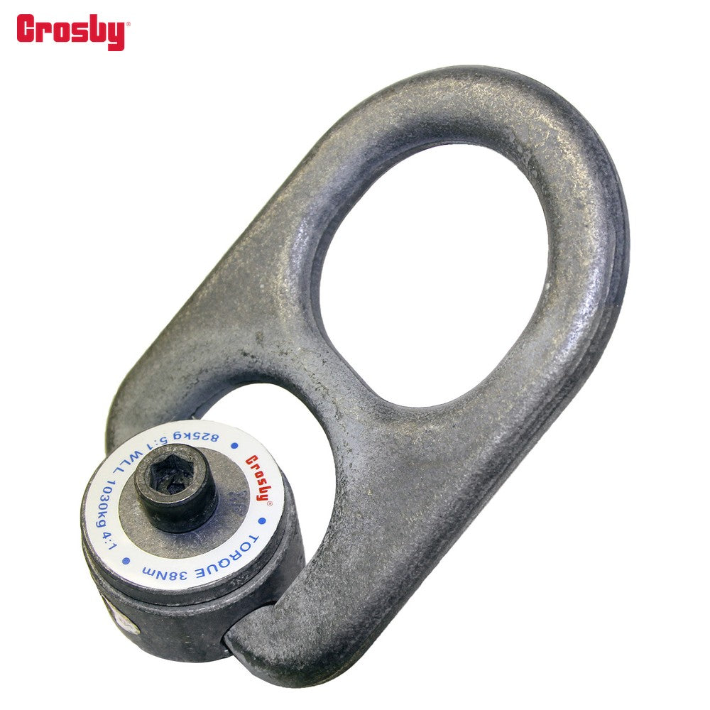 Crosby Crosby HR-1000MCT COLD-TUFF® Metric Hoist Ring