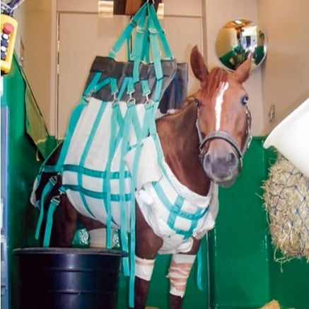 Liftex® / Large Animal Sling