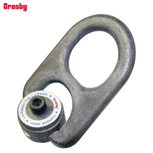 Polar Hoist Rings